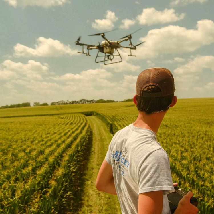  Person spraying crop with drone